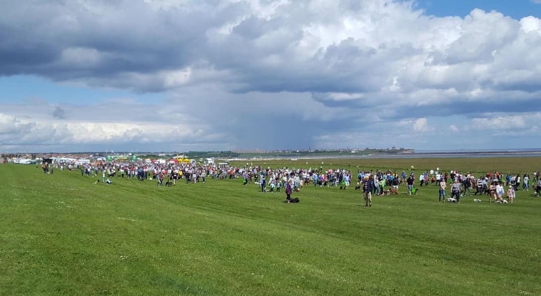 The Great North Dog walk with an amazing 28,000 dogs in one place!