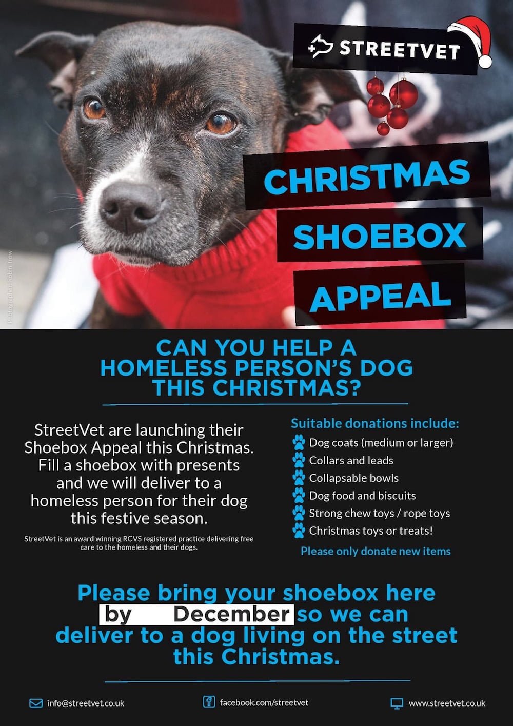 Can you help a homeless dog this Christmas through the StreetVet showbox appeal?