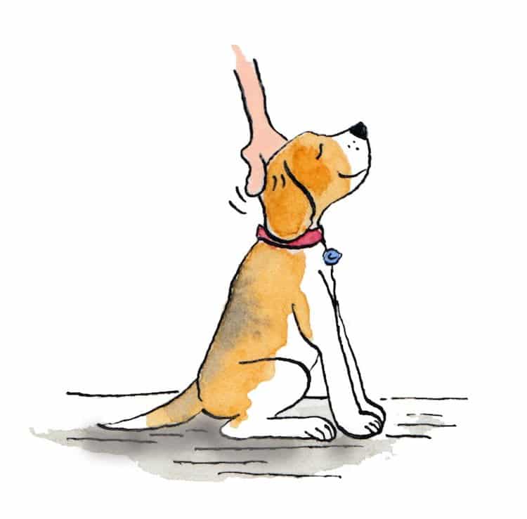 Mindfulness tips from a dog with Theresa Smith
