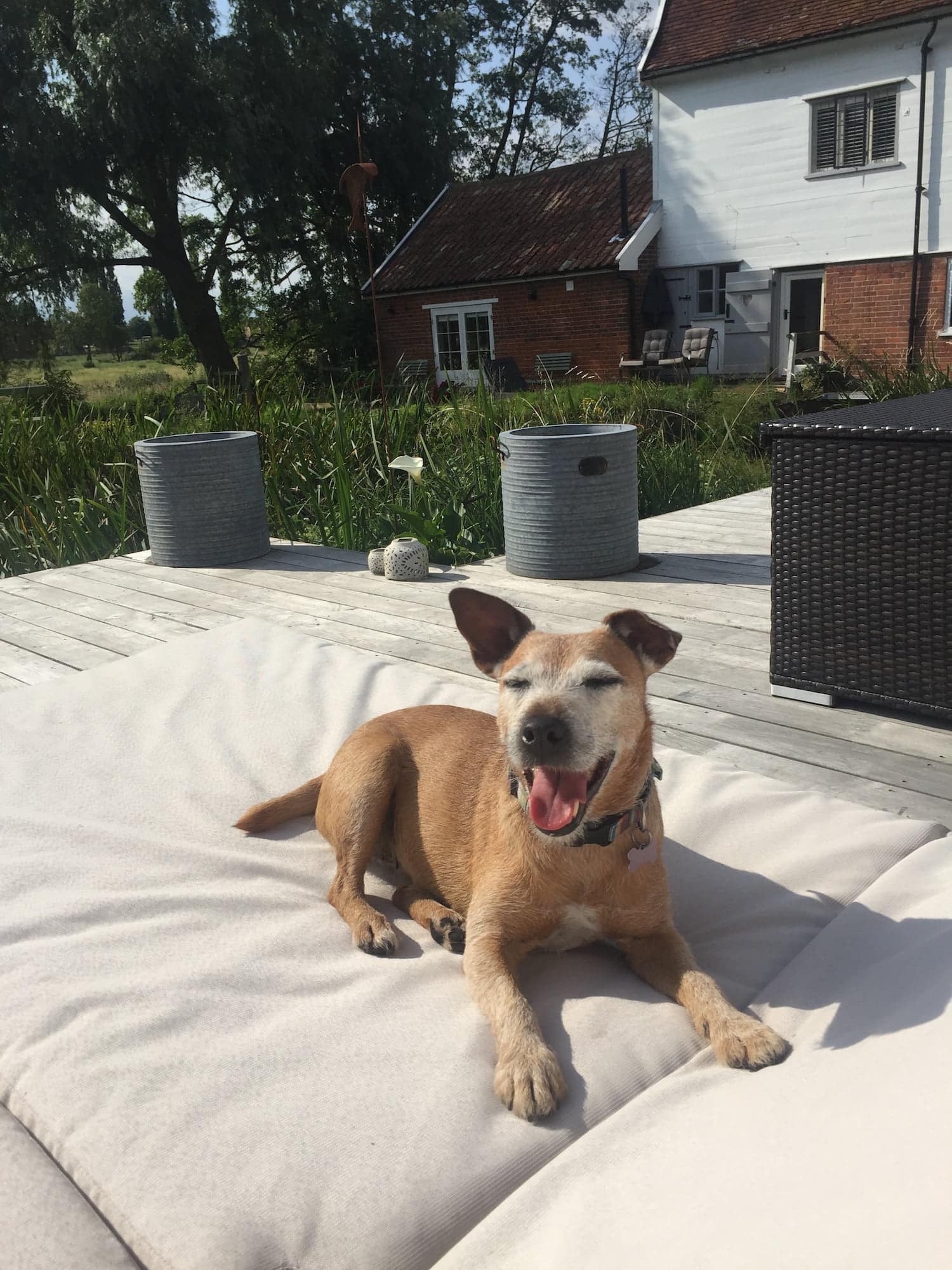 Dog Friendly Suffolk - Letheringham Water Mill, Visit England's most Dog Friendly property.