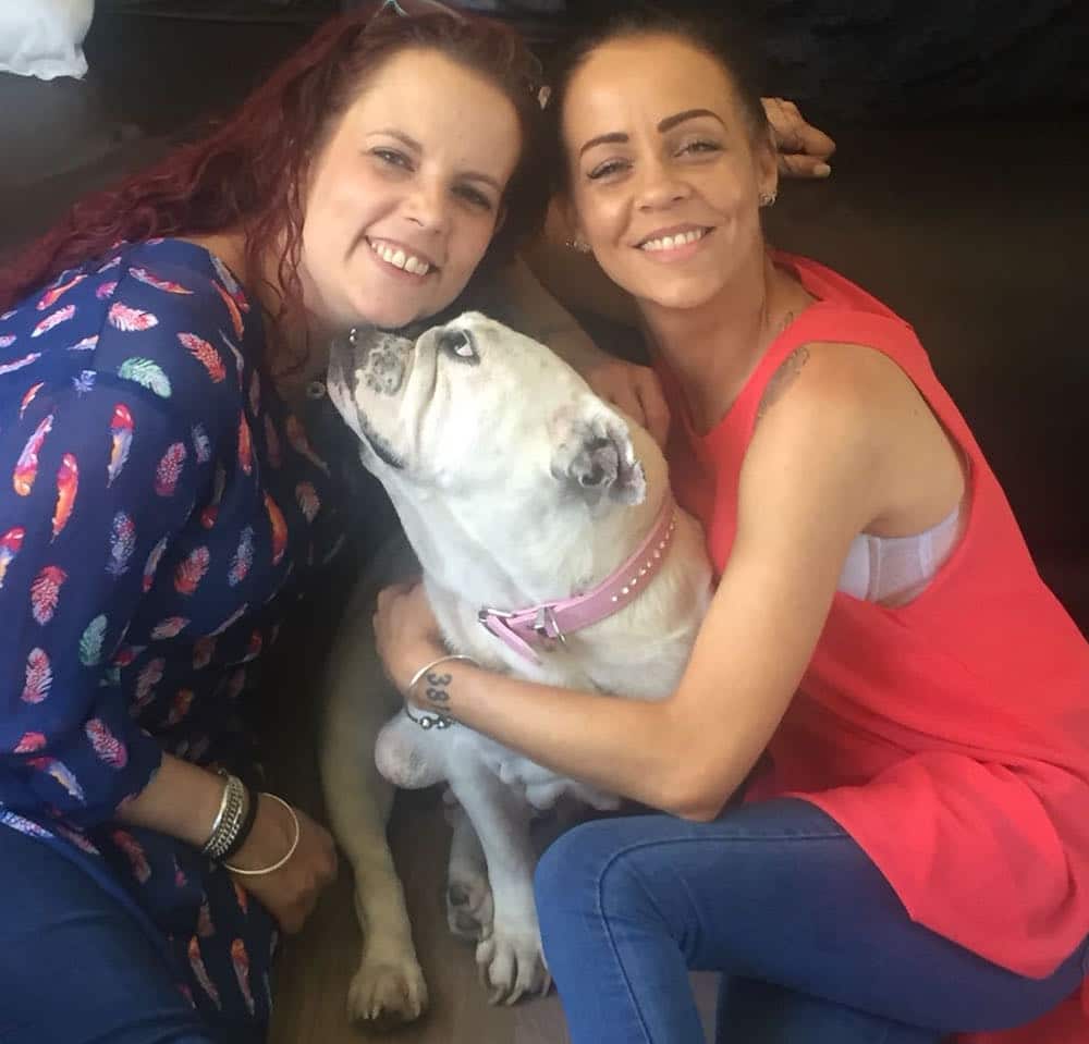 Sisters Ruth and Joni reunited with Duchess, an English Bulldog stolen seven years ago. 