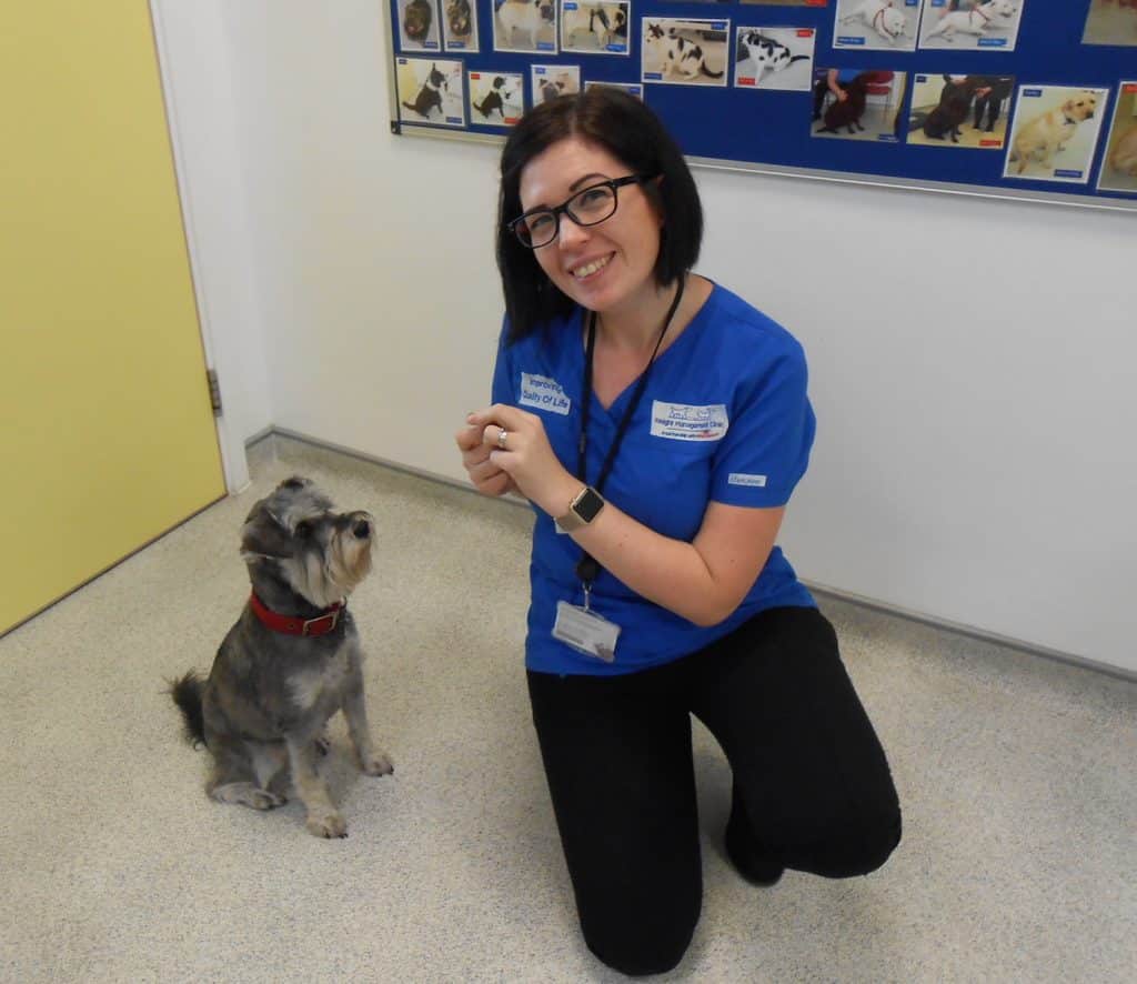 Behind the scenes at the Royal Canin Weight Management Clinic The Paw