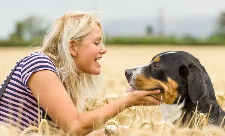 Deskundig advies van Helen Motteram om nerveuze en angstige honden te helpen