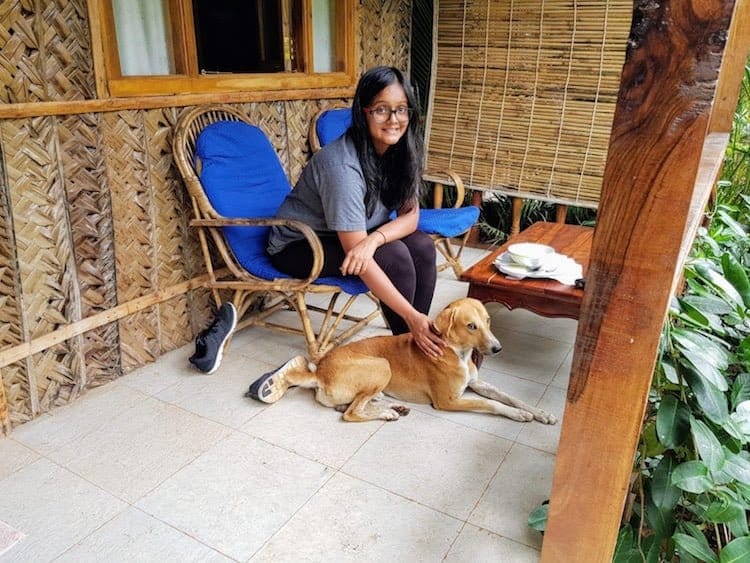 Jyothika Kumar, an animal lover is crowdfunding to rescue an indian streetdog named Ghost 