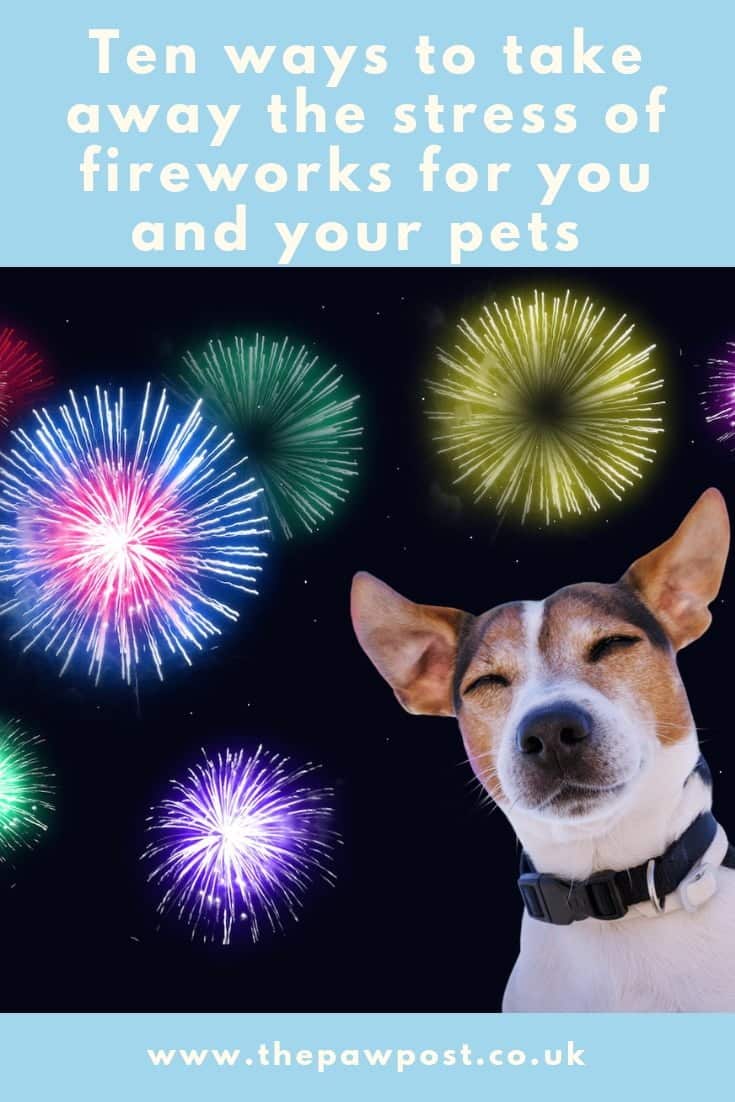 How to help dogs and cats cope with the stress of fireworks