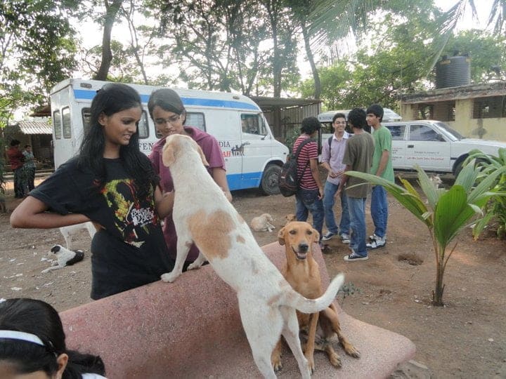 Jyothika Kumar, an animal lover is crowdfunding to rescue an indian streetdog named Ghost 