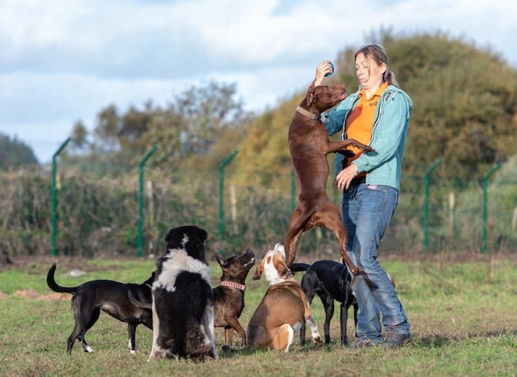 Emma Billington from Dogs4Rescue talks about her cage free shelter and plans to create an adventure playground