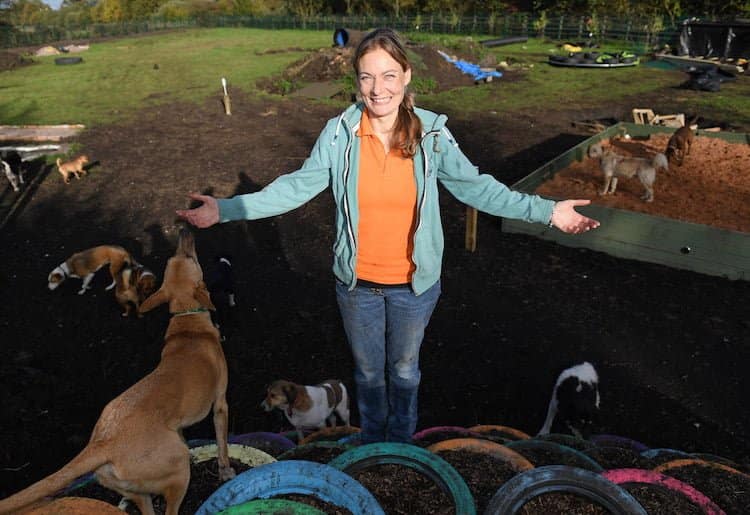 Emma Billington from Dogs4Rescue talks about her cage free shelter and plans to create an adventure playground