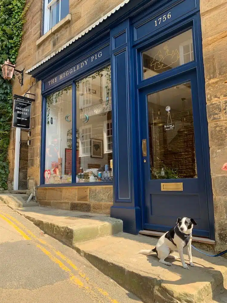 Dog friendly things to go and places to go in Robin Hood's Bay on the Yorkshire coast