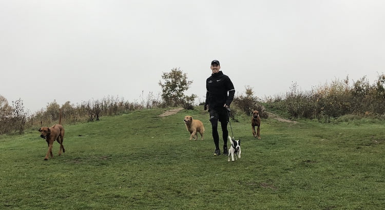 Milo Royds of Milo's Dog Running shares how his love of running and dogs led to his dream job!