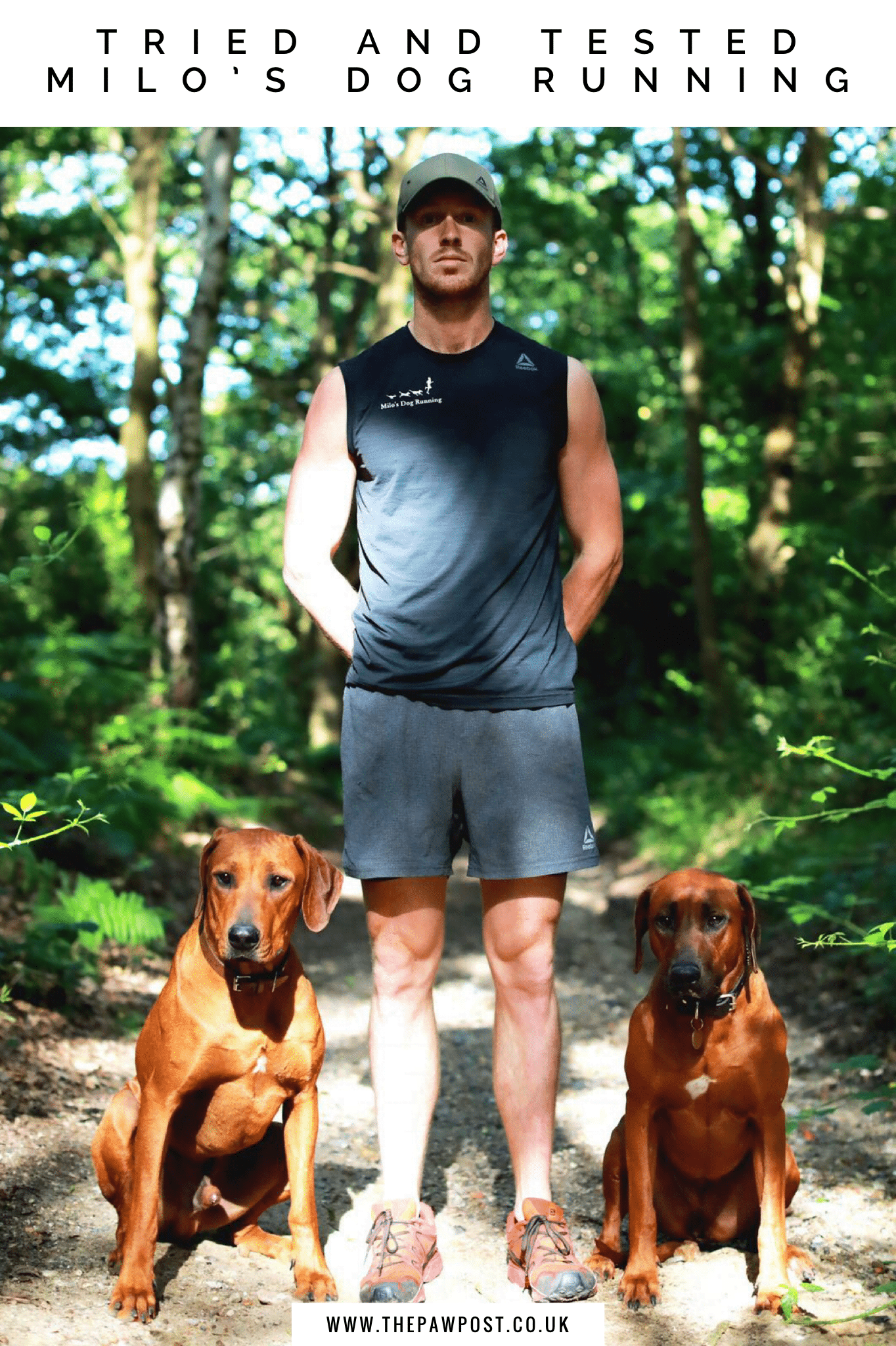 Milo Royds of Milo's Dog Running shares how his love of running and dogs led to his dream job!