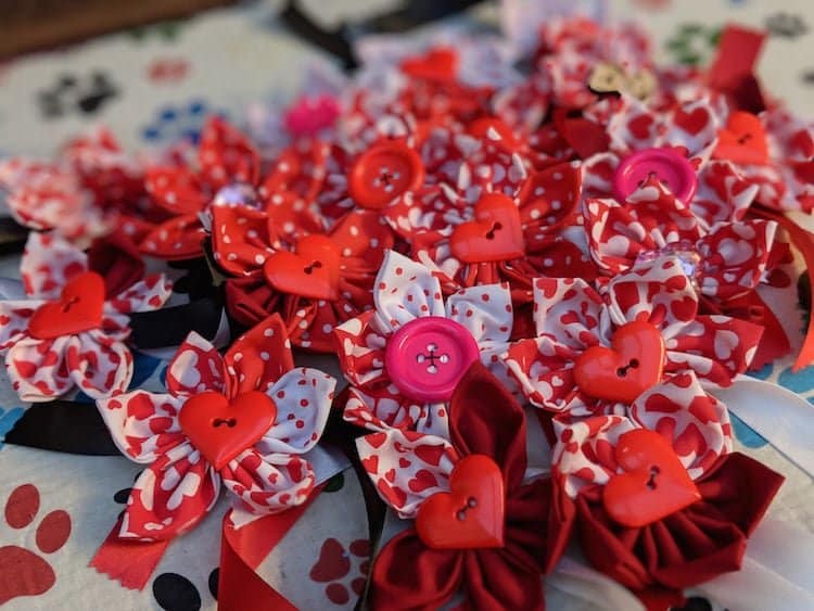 Valentine's Day gift ideas for dogs and their owners