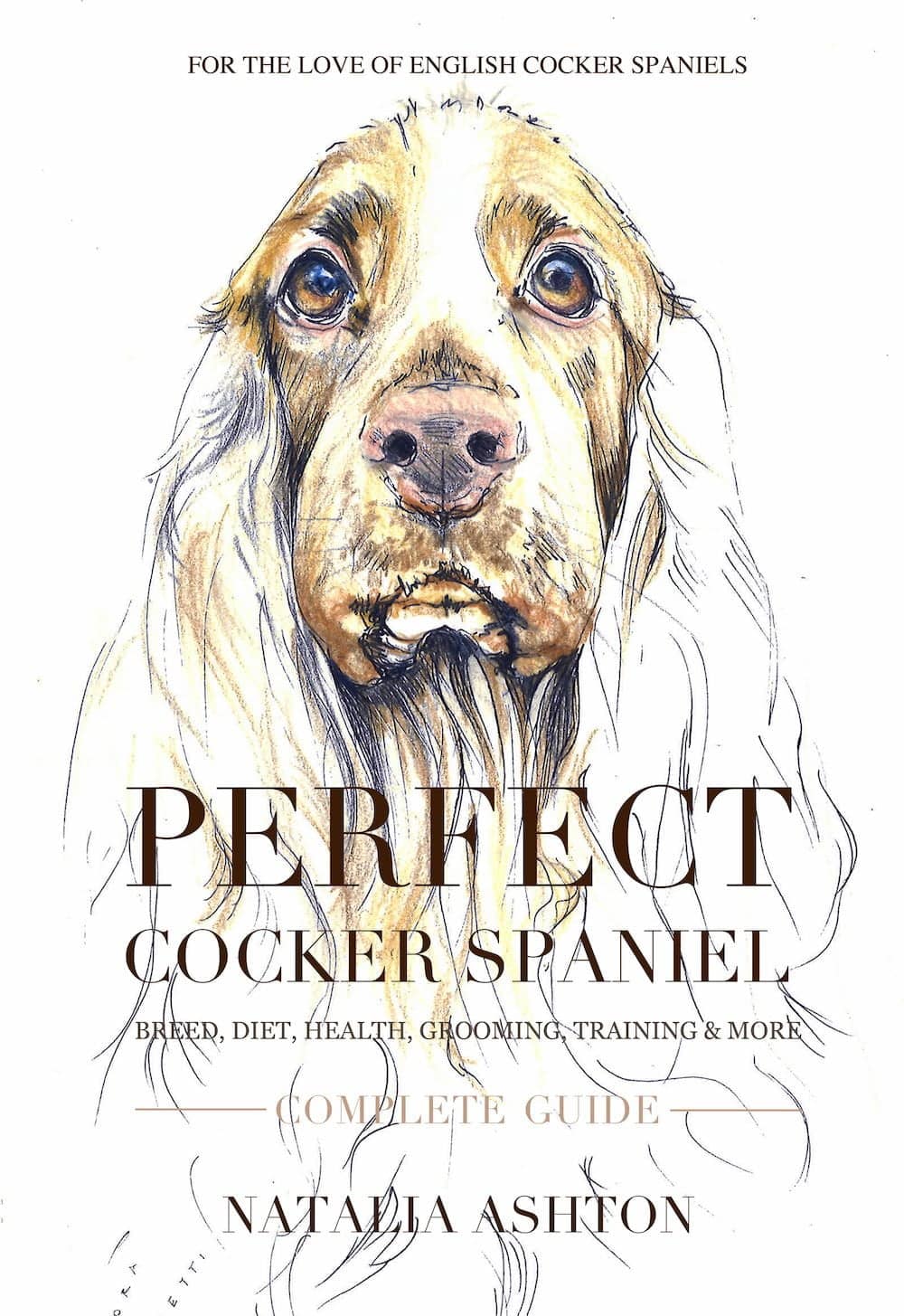 Perfect Cocker Spaniel by Natalia Ashton