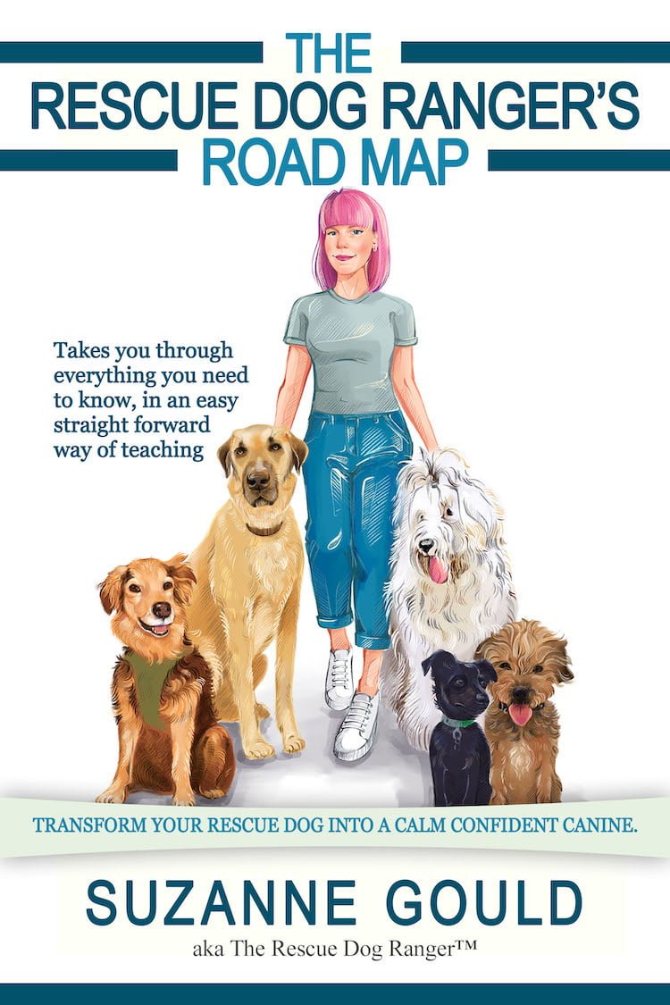 The Rescue Dog Ranger's Road Map by Suzanne Gould